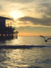 My Sweet Wife: The C