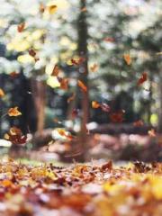 Falling for You: The
