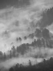 Rong Shao Nan Ning Y