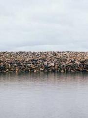 Shen Ning Ran Bao Ji