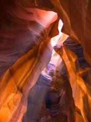 Eternal Sword Ancest