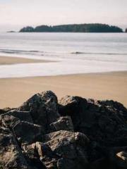 lt;lt;lt;The Peerles