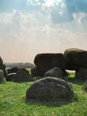 High School Campus S