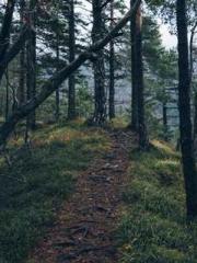 Eternal Sword Ancest